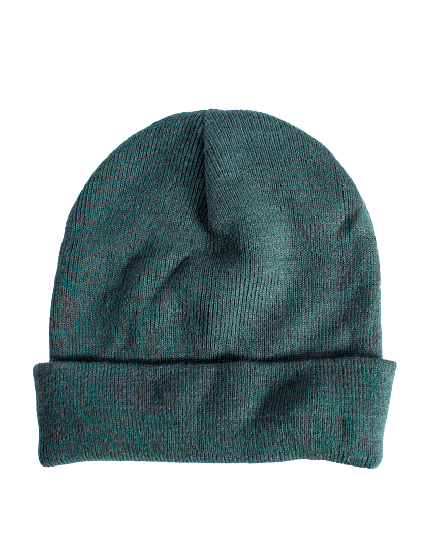 Chase Beanie DISCOVERY GREEN Шапка CARHARTT