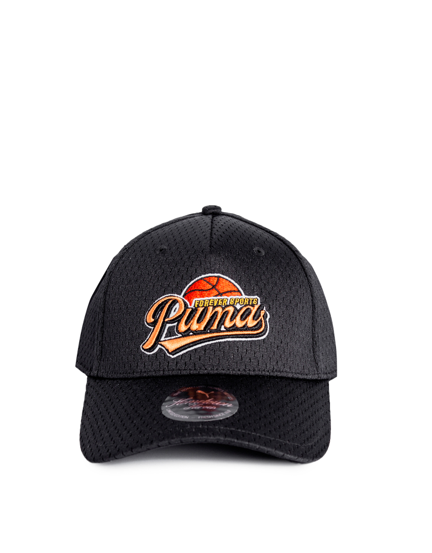 2514301 Кепка Hometown Heroes BB Cap PUMA